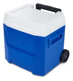 Koelbox Igloo Laguna 16 Roller Blue 2021 -Campingwinkel 6 00034518 H3