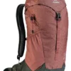 Backpack Deuter AC Lite 16 Red Wood Ivy